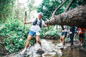 BIB: 
                            <button type="button" onclick="openModal(25373314)" class="btn btn-primary btn-sm float-right btn-popup" data-toggle="modal" data-target=".modal-high-quality">
                        <i class="fas fa-shopping-cart"></i> Add to Cart
                    </button>
                                            <button type="button" onclick="isThisMe(25373314, true)" class="btn btn-success btn-sm float-right btn-popup btn-isme hidden" data-toggle="tooltip" data-placement="bottom" title="นี่คือรูปของคุณใช่ไหม คลิกที่นี่เพื่อเอาเข้าอัลบั้ม">
                        <i class="fas fa-plus"></i> Add to album
                    </button>
                    <button type="button" onclick="isThisMe(25373314, false)" class="btn btn-warning btn-sm float-right btn-popup btn-isnotme hidden">
                        <i class="fas fa-ban"></i> Remove from album
                    </button>